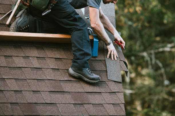 Best Metal Roofing Contractor  in Brighton, MI